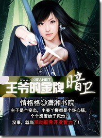 王爷的金牌暗卫