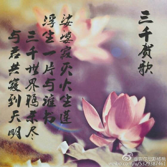 (银魂同人)(银魂)三千贺歌