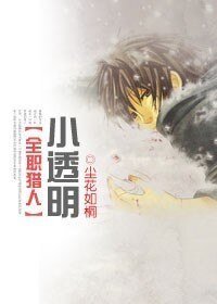 (猎人同人)小透明