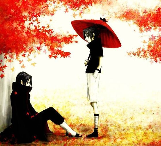 鸢尾花