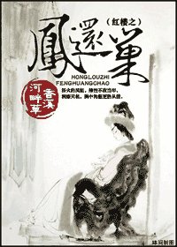 (红楼同人)红楼之凤还巢