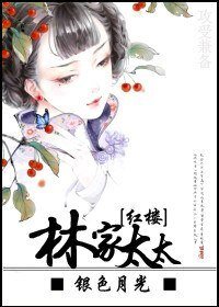 (红楼同人)林家太太