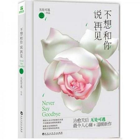 不想和你说再见(出书版)