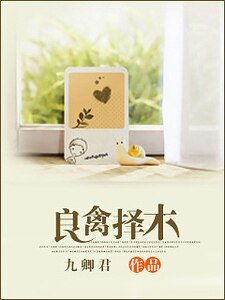 良禽择木