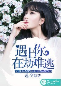 遇上你,在劫难逃