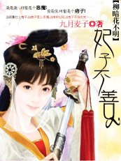 御夫36计:妃子不善