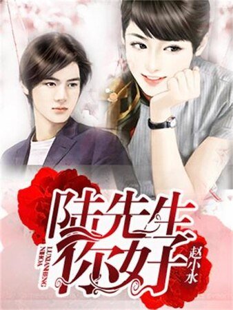 陆先生,你好