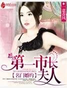 名门婚约:第一市长夫人