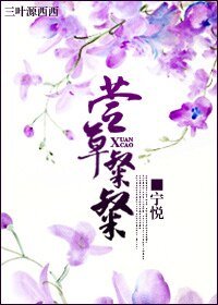 萱草粲粲