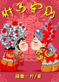 驸马守则