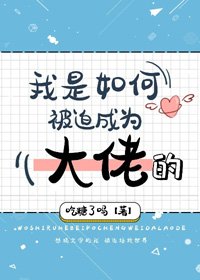 (BG/综漫同人)我是如何被迫成为大佬的
