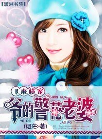 飞来横宠-爷的警花老婆