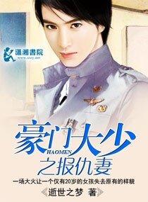 豪门大少之报仇妻