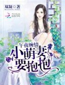 午夜缠情:小萌妻要抱抱