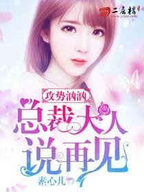 攻势汹汹,总裁大人说再见