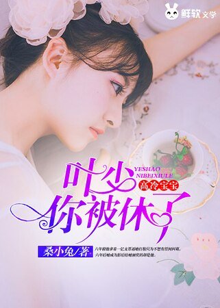 高冷宝宝:叶少,你被休了!