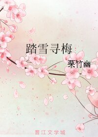 踏雪寻梅