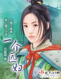 一介匹婦