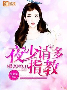 婚寵NO.1:夜少請多指教