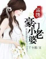 盗情:豪门小老婆