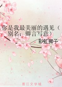 你是我最美丽的遇见/卿言写意