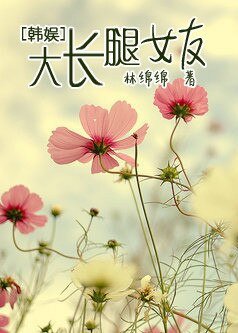 (BG-韩娱同人)韩娱之大长腿女友