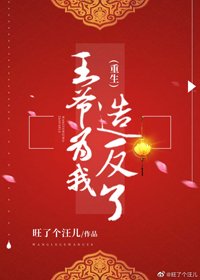 王爷为我造反了(重生)