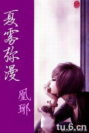 (网王东邦同人)夏雾弥漫