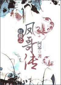 (红楼同人)红楼之凤哥传