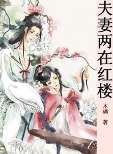 (红楼同人)夫妻俩在红楼