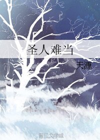 圣人难当