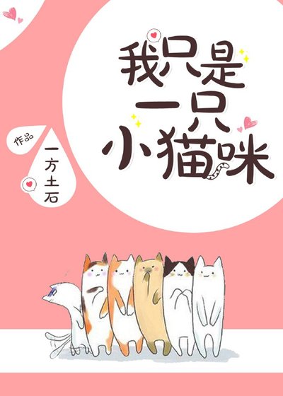 我只是一隻小貓咪