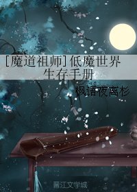 (BL/魔道祖师同人)低魔世界生存手册