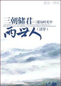 三朝储君两世人(清穿)