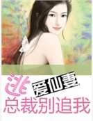 逃爱仙妻:总裁别追我