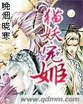 妃咒第一世:猫妖宠姬