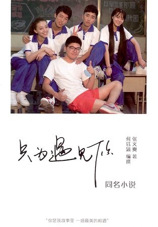 只为遇见你(出书版)