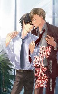 独孤求爱(出书版)