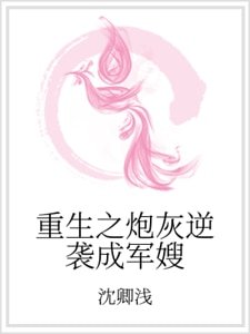 重生之炮灰逆袭成军嫂