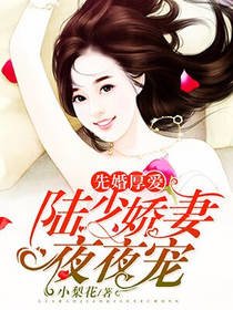 先婚厚愛:陸少嬌妻夜夜寵