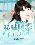 闪婚AA制:私藏暖妻有点甜