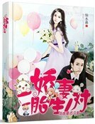 隐婚霸道总裁:娇妻,二胎生一对