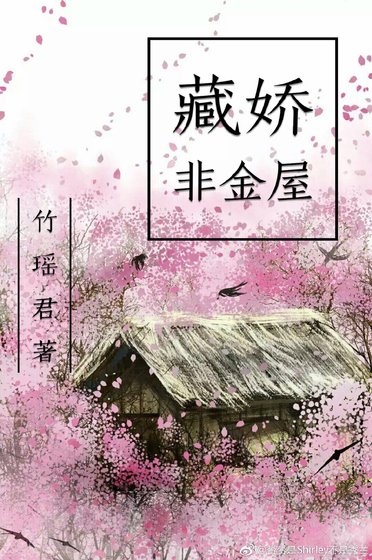 藏娇非金屋