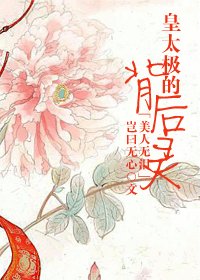 (美人无泪同人)皇太极的背后灵