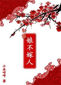 (红楼同人)娘不嫁人