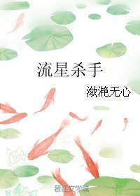 (策马啸西风同人)流星杀手