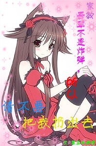 (家教同人)吾辈不是炸弹,所以请不要把我扔出去