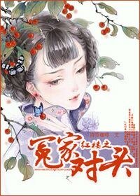 (红楼同人)红楼之冤家对头