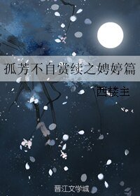(孤芳不自赏同人)孤芳不自赏续之娉婷篇