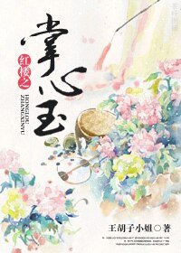 (红楼同人)红楼之掌心玉